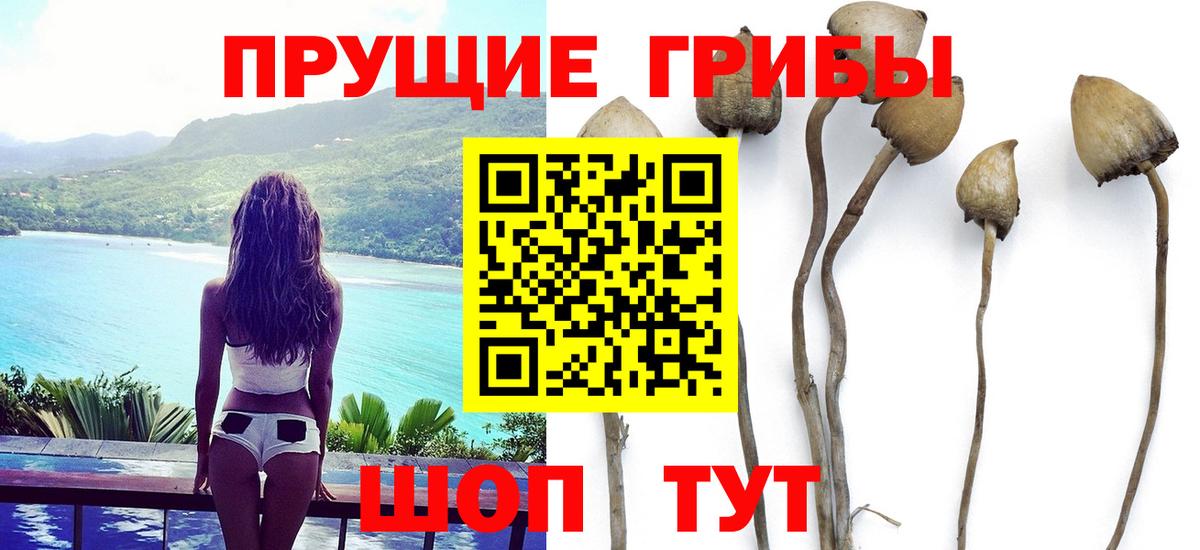 Галлюциногенные грибы Magic Shrooms Мичуринск